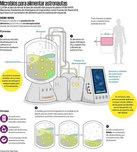 Infografía: Elaboración propia