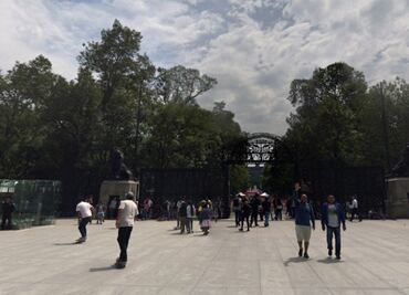 Hallan feto en Bosque de Chapultepec