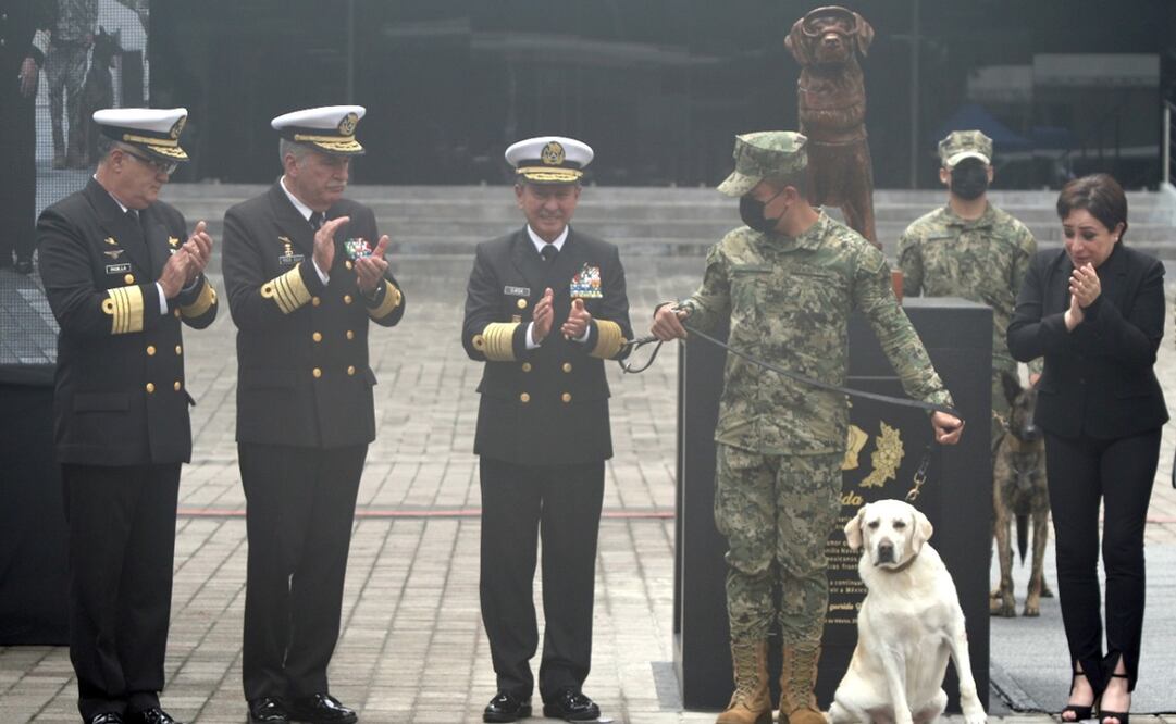 Foto: Carlos Mejía/EL UNIVERSAL 