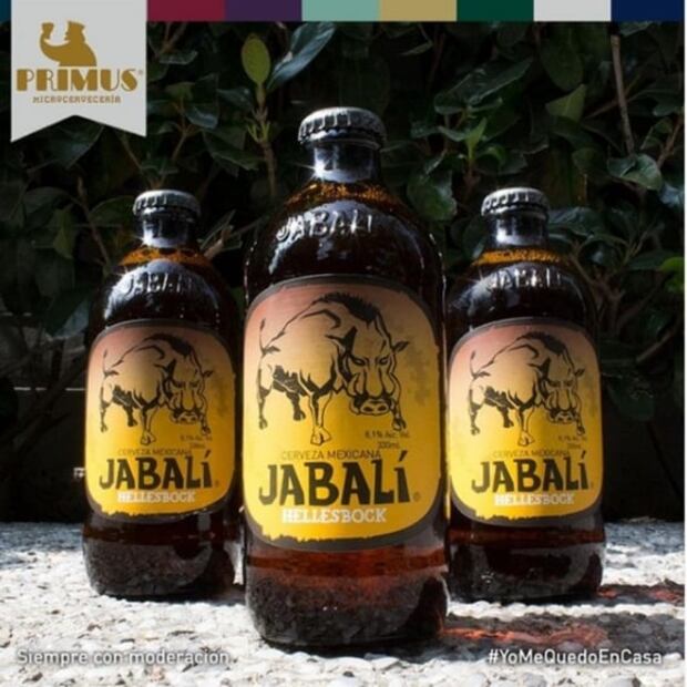 5 cervecerías artesanales en CDMX que puedes comprar sin salir de casa