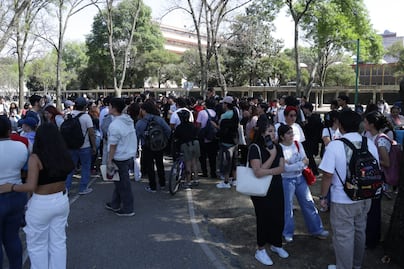 “Therians” en CU; primera reunión en CDMX registra nula asistencia