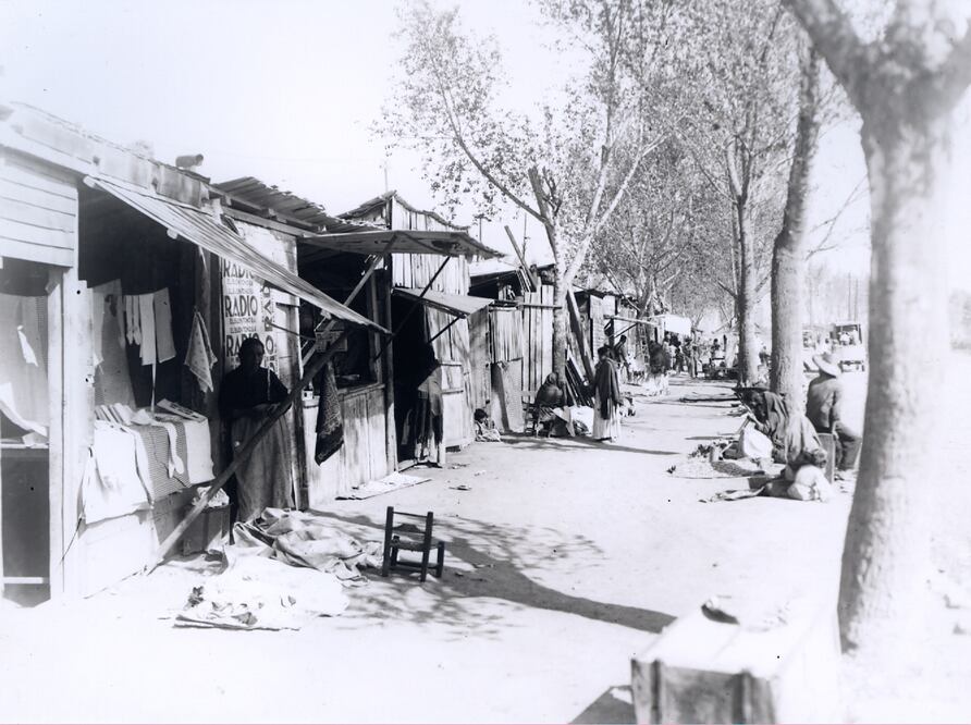 El gigante que vende flores