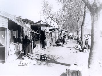 El gigante que vende flores