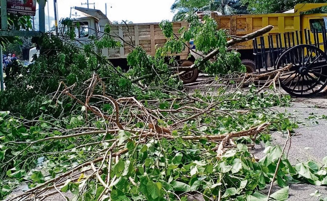 Caminos bloqueados por enfrentamientos entre criminales. Foto: Especial