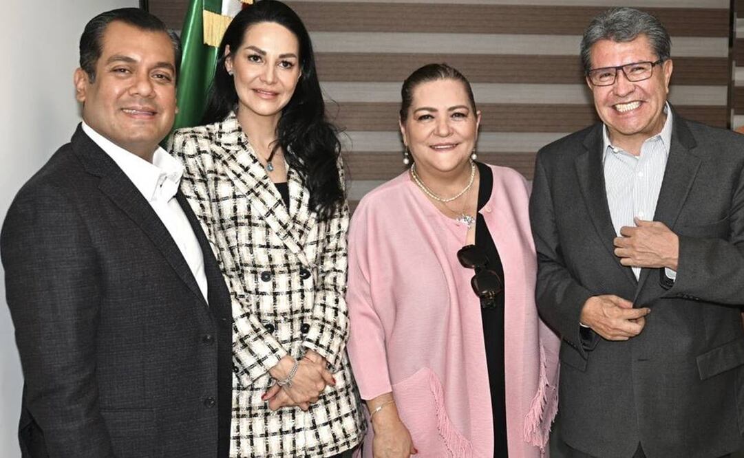 Taddei aceptó recorte presupuestal del INE para elección judicial. Foto: Twitter @Sergeluna_S