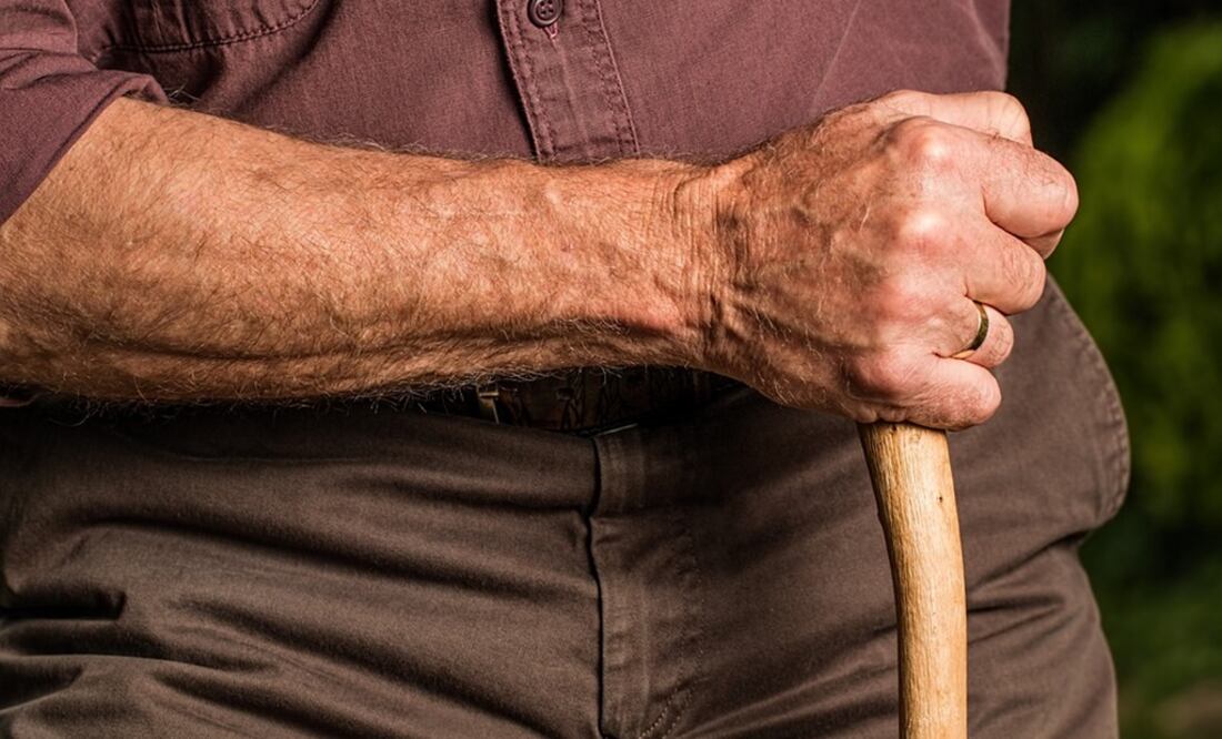 Foto: Ilustrativa. Pixabay