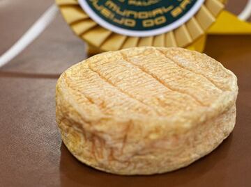 Quesos mexicanos se llevan medallas de oro, plata y bronce en Brasil