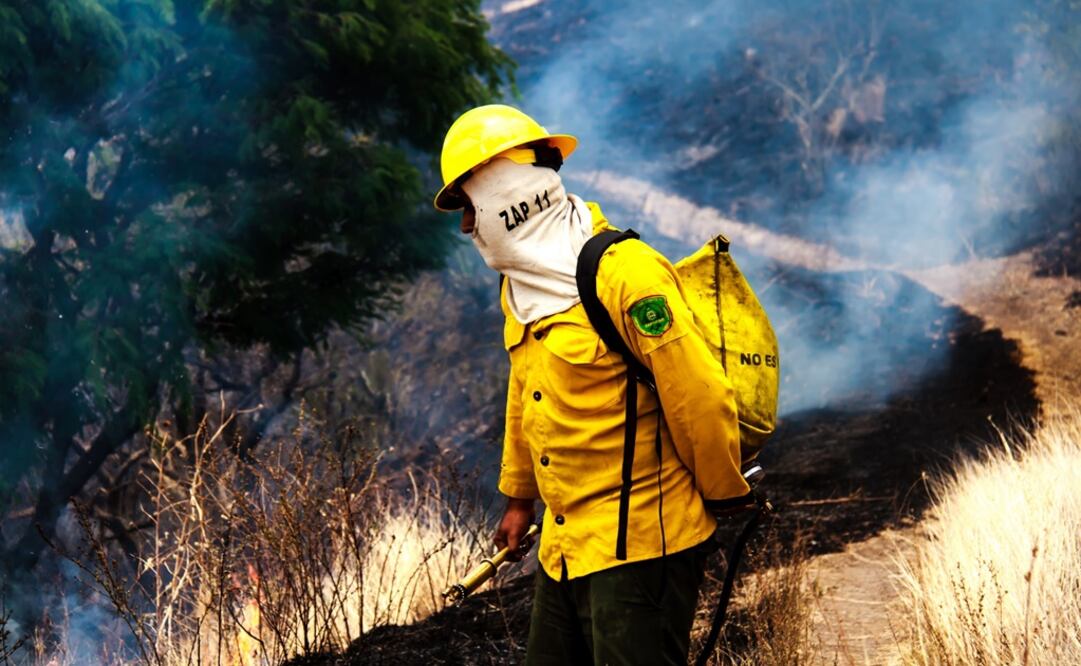 Fotos: Cortesía Gobierno y Bomberos de Zapopan 