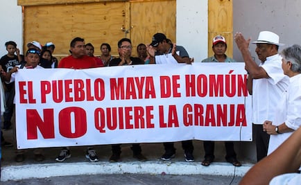 Pueblos mayas convocan a consulta sobre granjas porcícolas en Yucatán