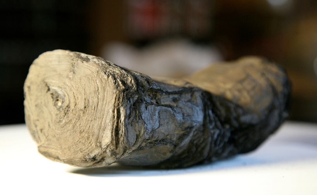 Foto: Courtesy of the Digital Restoration Initiative/University of Kentucky/Handout via REUTERS