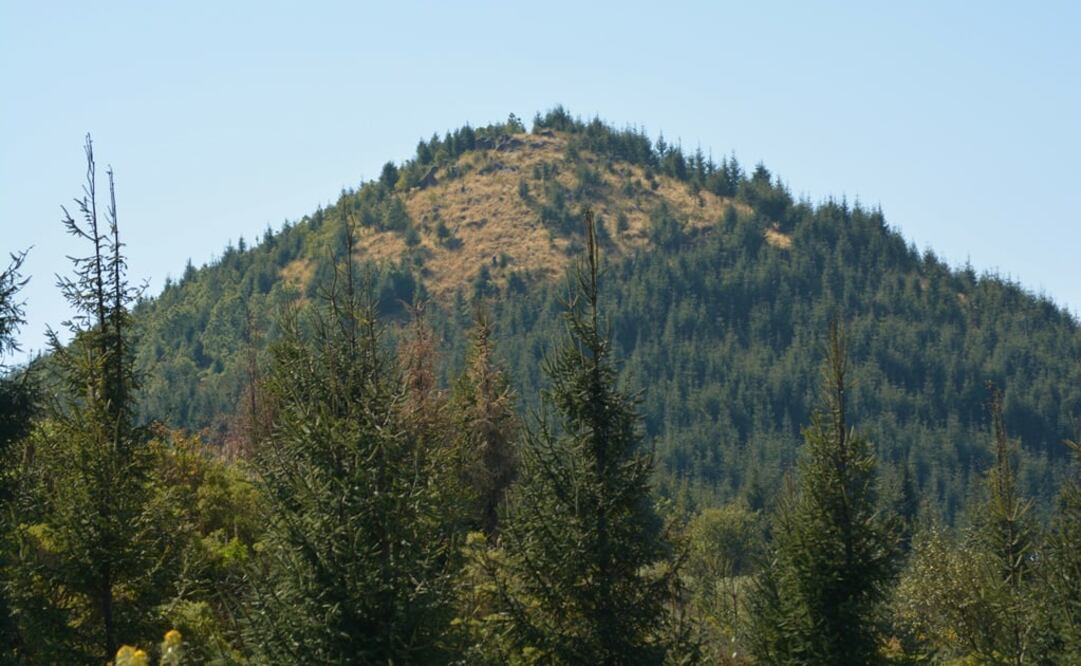 Foto: Isela Hinojoza Aviles