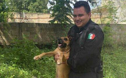 Rescatan a “Chiquitín”, perrito ciego que cayó en sumidero en construcción en Yucatán