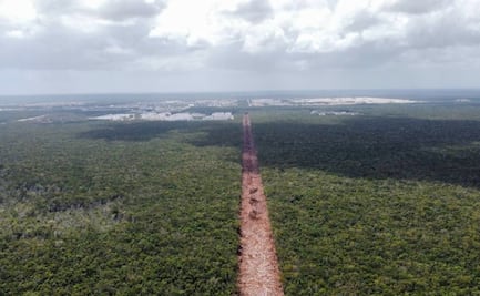 Colectivo "Selvame del Tren" lamenta cancelación de diálogo con AMLO sobre Tren Maya