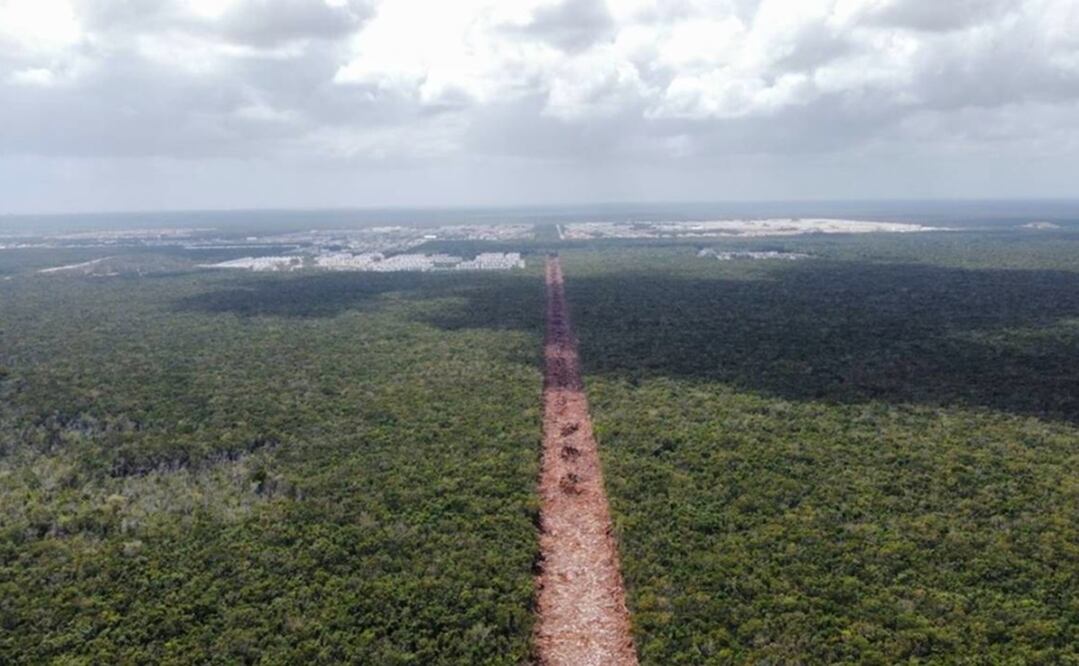 Foto: Archivo/ EL UNIVERSAL