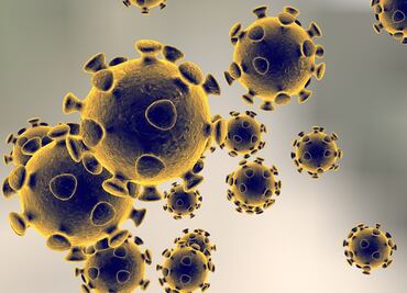 Cinvestav trabaja en prueba rápida para detectar Covid-19