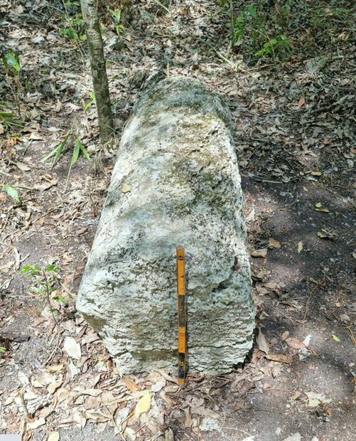 La antigua ciudad maya Ocomtún acaba de ser descubierta en la reserva ecológica de Balamkú, en Campeche.
Foto: INAH