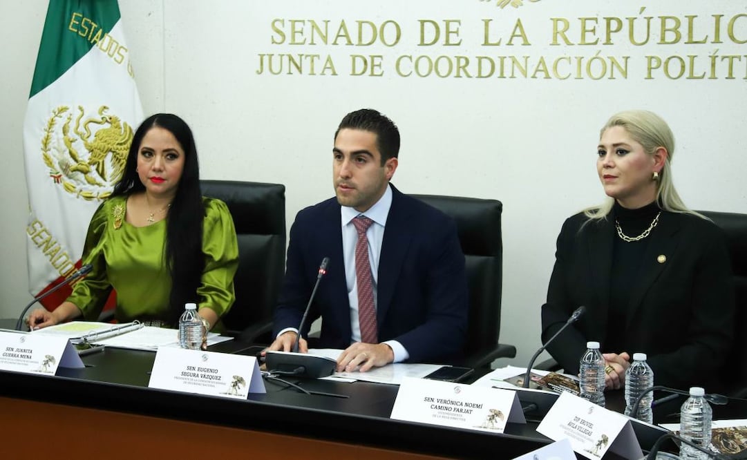 Comisión Bicameral de Seguridad Nacional. Foto: X @senadomexicano