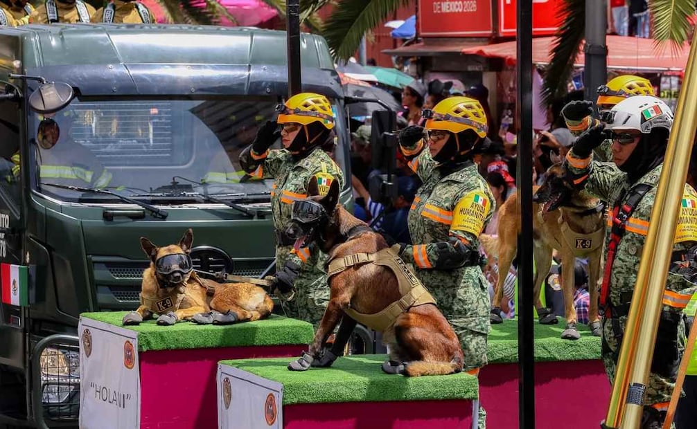Binomios caninos de ayuda humanitaria del Ejército mexicano en el desfile cívico militar por el 216 aniversario de la Independencia de México, el 16 de febrero de 2026. Foto: Osmar Alvarado / EL UNIVERSAL