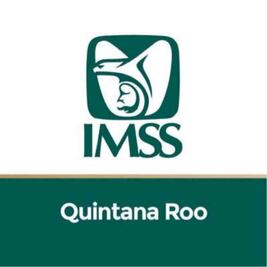 En 2022 creció número de patrones registrados al IMSS en Quintana Roo