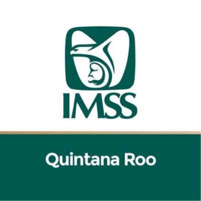 En 2022 creció número de patrones registrados al IMSS en Quintana Roo