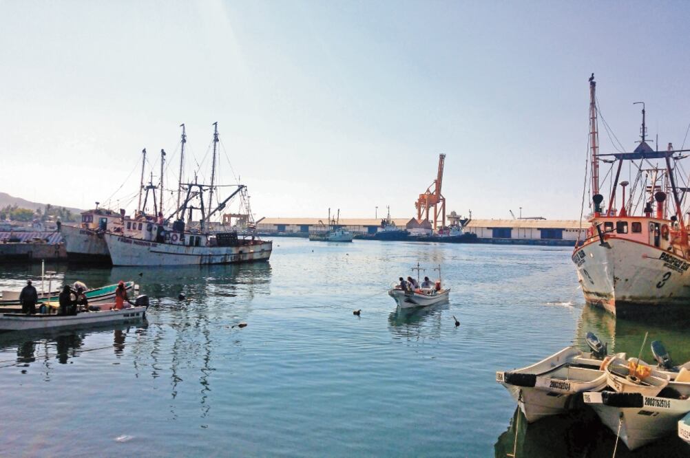 El objetivo del proyecto es integrar la prestación de servicios de administrac ió n portuaria que realizan los puertos de Coatzacoalcos y Salina Cruz. Foto/ARCHIVO EL UNIVERSAL