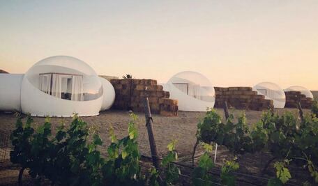 6 hoteles burbuja que te conectan con la naturaleza