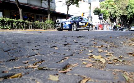 Ganancias subirían si rehabilitaran Zona Rosa: comercios