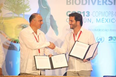 Acuerdan proteger terrenos forestales de agricultura