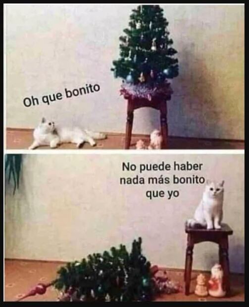 Celebra el día de la enfermera y enfermero con memes