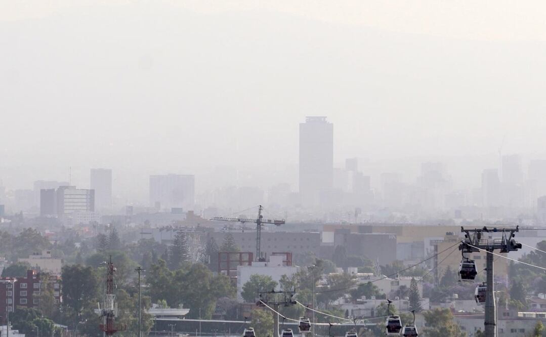 Foto: Francisco Rodríguez / EL UNIVERSAL