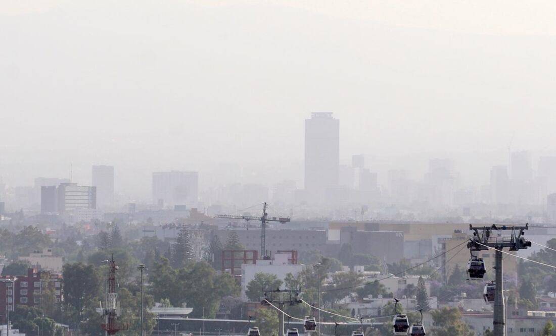 Foto: Francisco Rodríguez / EL UNIVERSAL