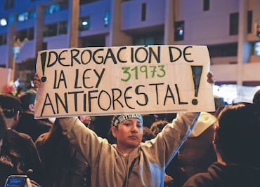 América Latina sufre tragedia ambiental debido al narco