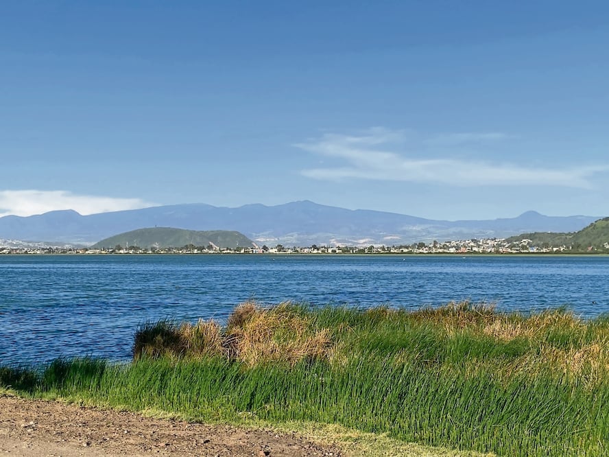 El Lago Tláhuac-Xico queda a cargo de la Semarnat. Foto: Archivo | El Universal