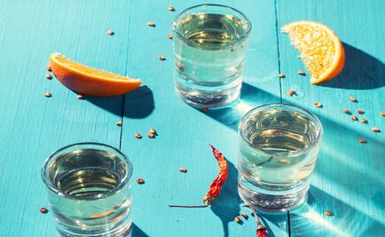 Descubre qué es la raicilla y cómo se toma