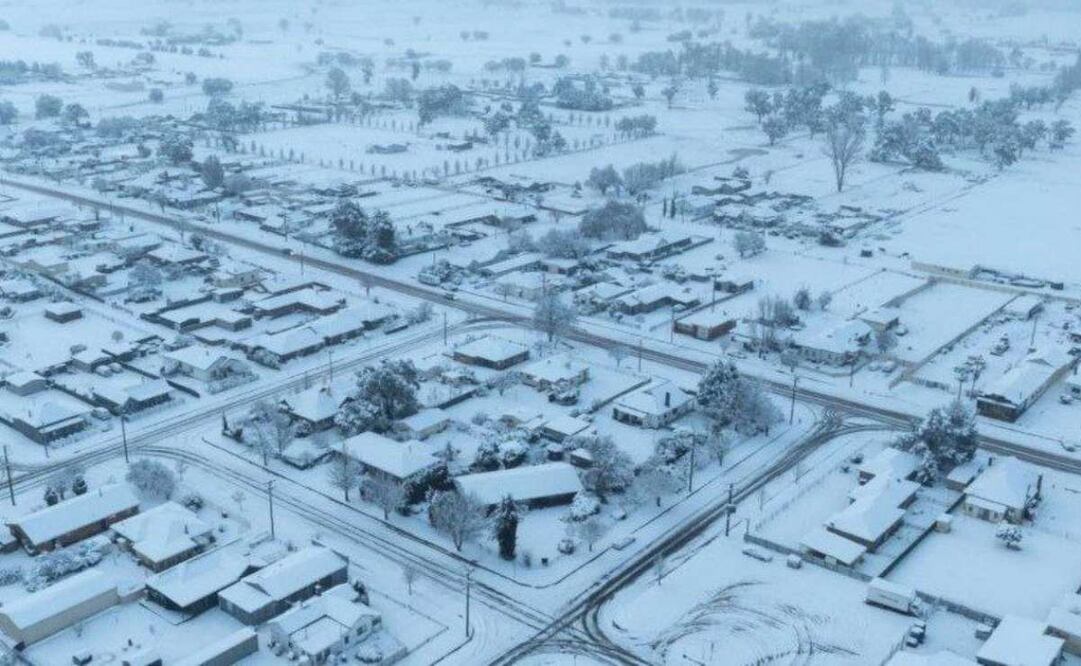 Manta de hasta 40 centímetros no se ha visto aquí desde los años 80 en Nueva Gales del Sur. Foto: X @volkova_ma57183