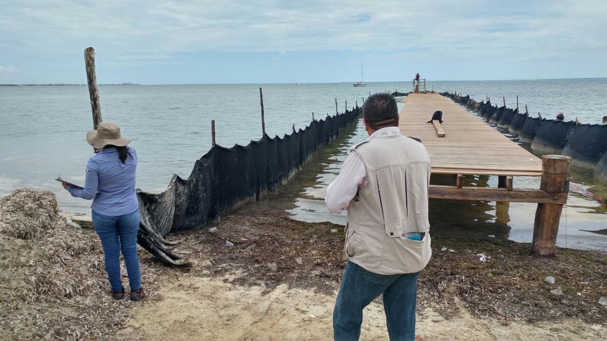 Foto: Adriana Varillas / EL UNIVERSAL