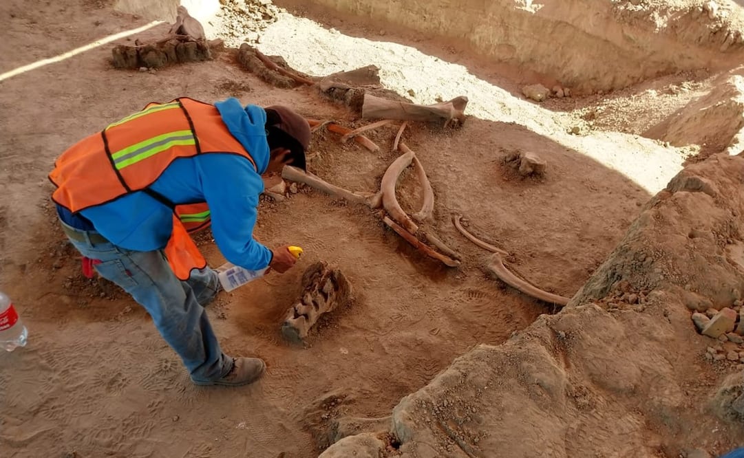 Imagen de 2019 de los trabajos en los terrenos de Santa Lucía. Fotos: CORTESÍA INAH
