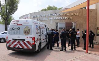 Aseguran presunta veterinaria en Ciudad Azteca; rescatan 25 animales y hallan restos de perros en maletas