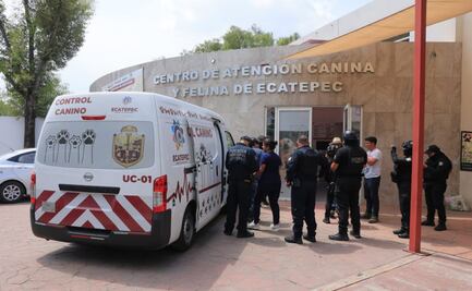 Aseguran presunta veterinaria en Ciudad Azteca; rescatan 25 animales y hallan restos de perros en maletas