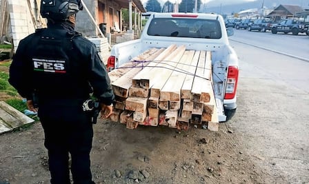 Aseguran dos inmuebles por tala clandestina