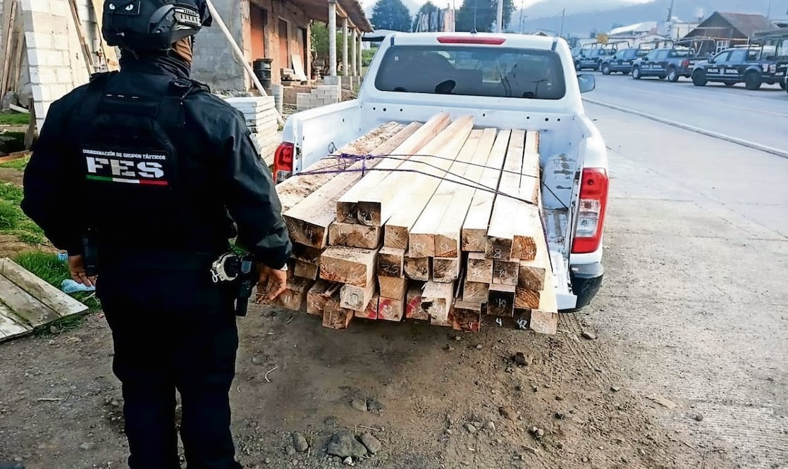 Autoridades resguardan la madera encontrada en los inmuebles vinculados con la tala clandestina. Foto: Especial