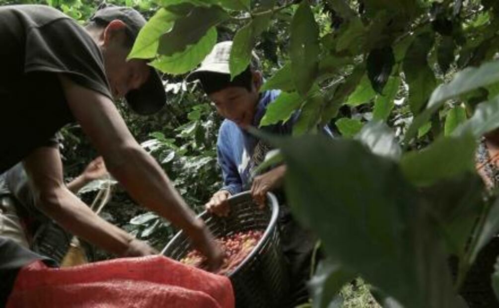 "A six dollar cup of coffee" estrena en el Festival Internacional de Cine en Guadalajara