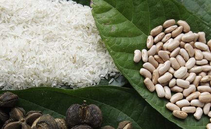 Brazil and Mexico to trade rice and beans