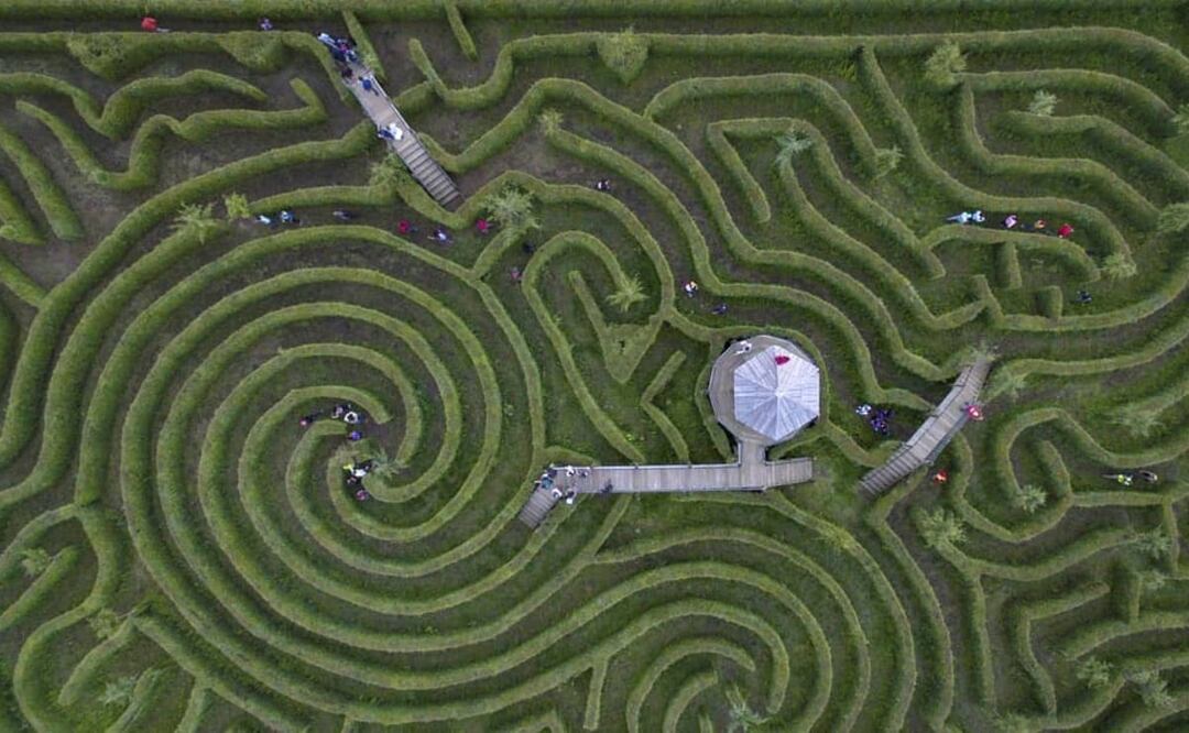 Foto: Cortesía Alpinia