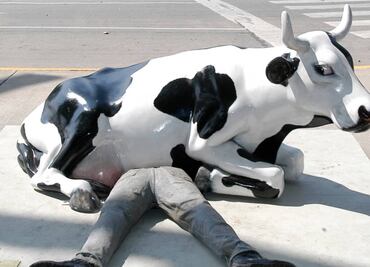 4 exposiciones al aire libre en la CDMX que no te debes perder