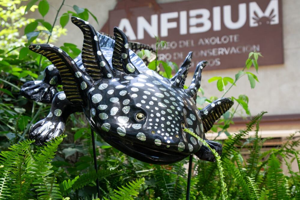 Foto: Facebook Secretaría del Medio Ambiente