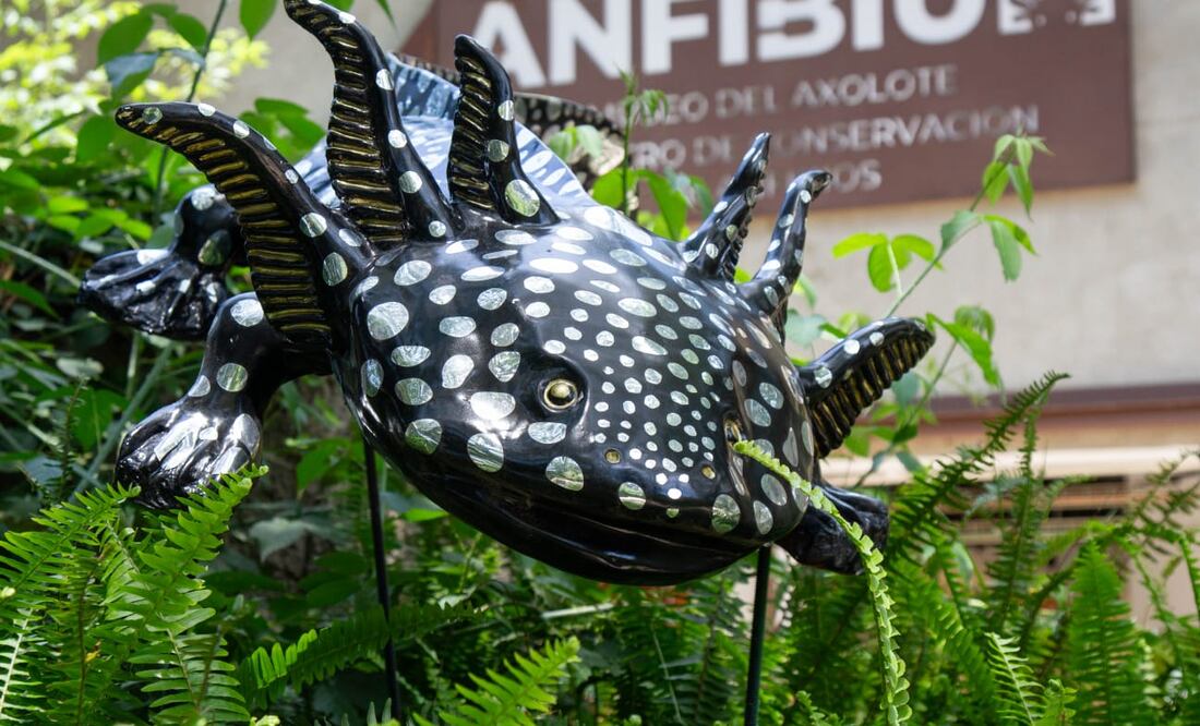 Foto: Facebook Secretaría del Medio Ambiente