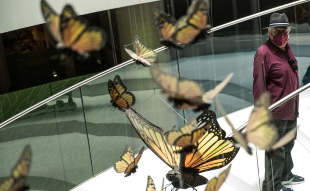 Pabellón Nacional de la Biodiversidad, un museo para romper mitos