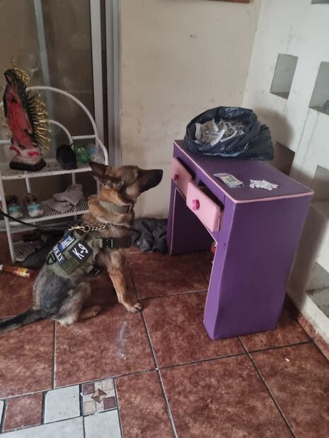 Ejército y policías estatales de NL detienen a nueve por narcotráfico