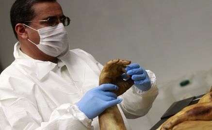 Promueve UNAM donar cuerpos para ciencia